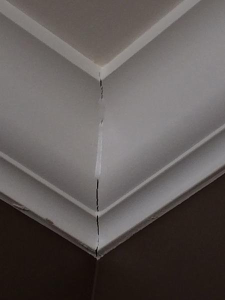 Failing Crown Molding Joints and Failing Window Trim 